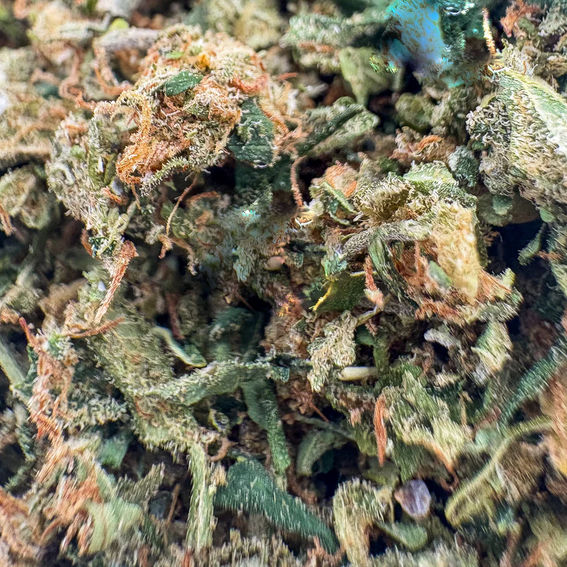 FF1175C6-C1A6-49AD-8EBE-EE4071C2F76C SHAKE