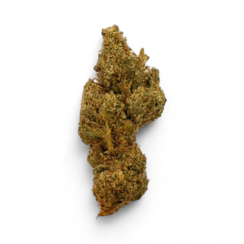 144F7DEE-8C3C-453C-ACD9-6176784B9906 og kush seeds