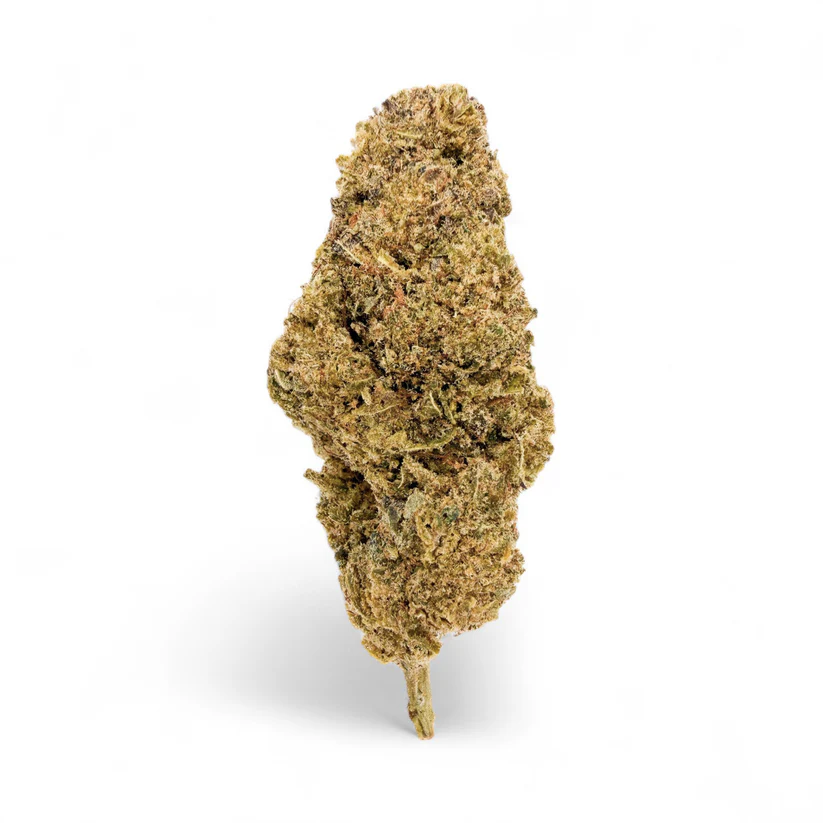 A1AB3FA2-2466-4497-BCE0-6A2EE2711DC2 GRAPE CAKE STRAIN