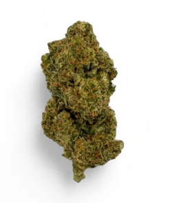 Tangerine Dream Strain