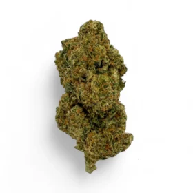 Tangerine Dream Strain