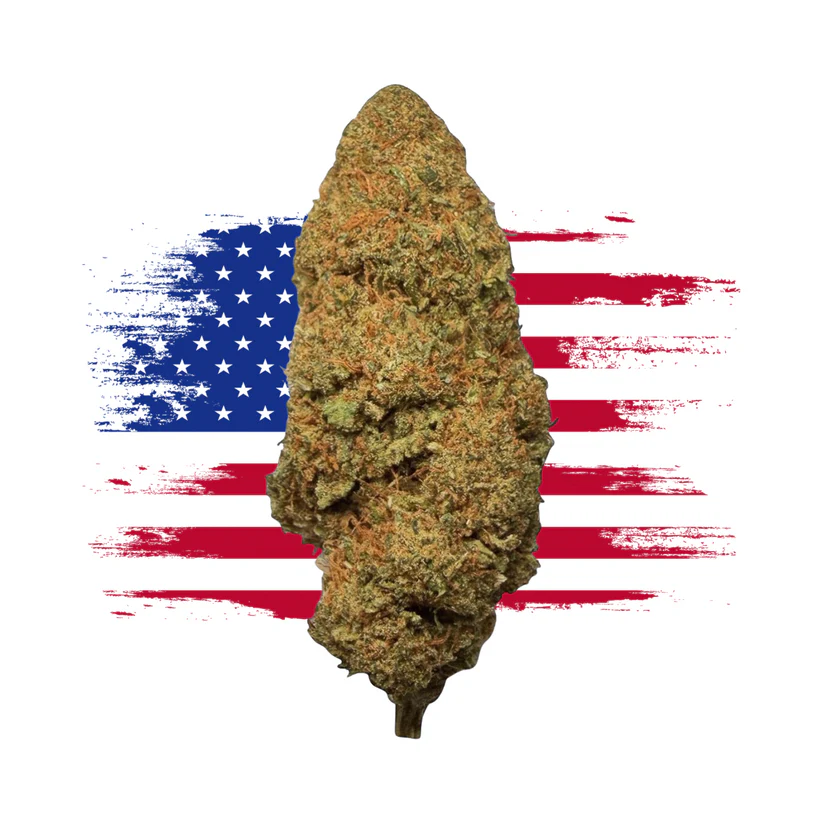 70BC3A1F-0995-4FBB-B077-0338E26E11BC SOUR LIFTER